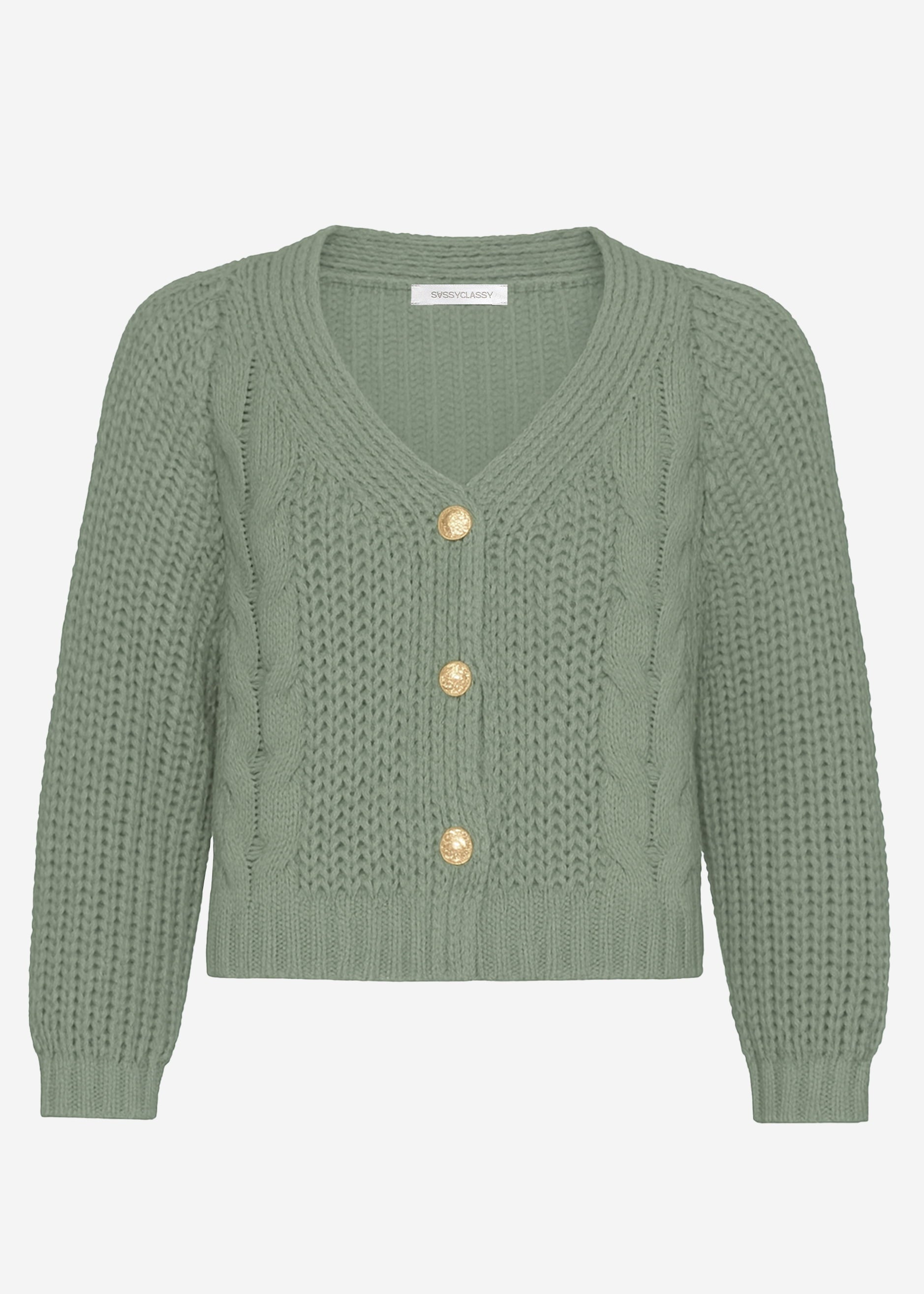 Cable knit cardigan with button placket - sage green