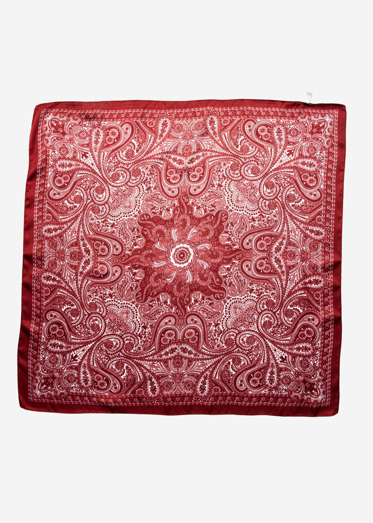Paisley print scarf - burgundy
