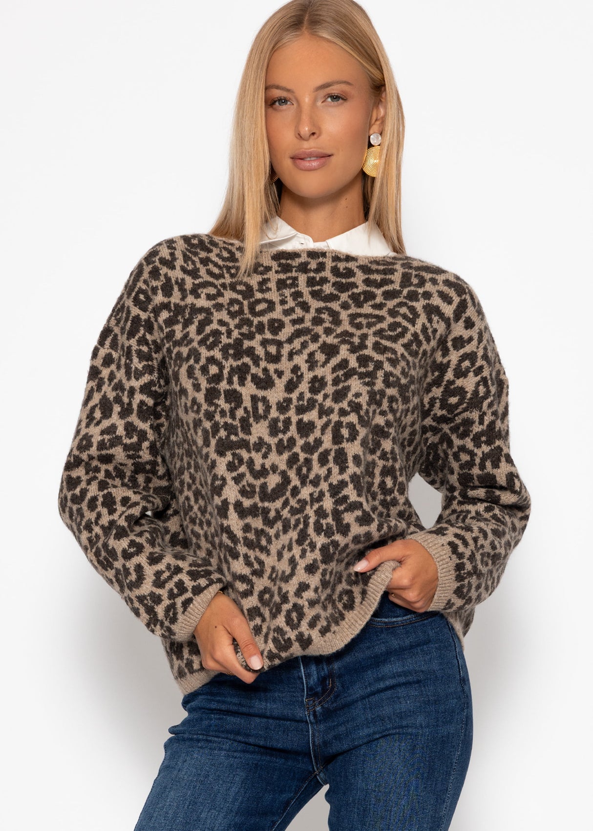 Sweater with Leo pattern-beige-brown
