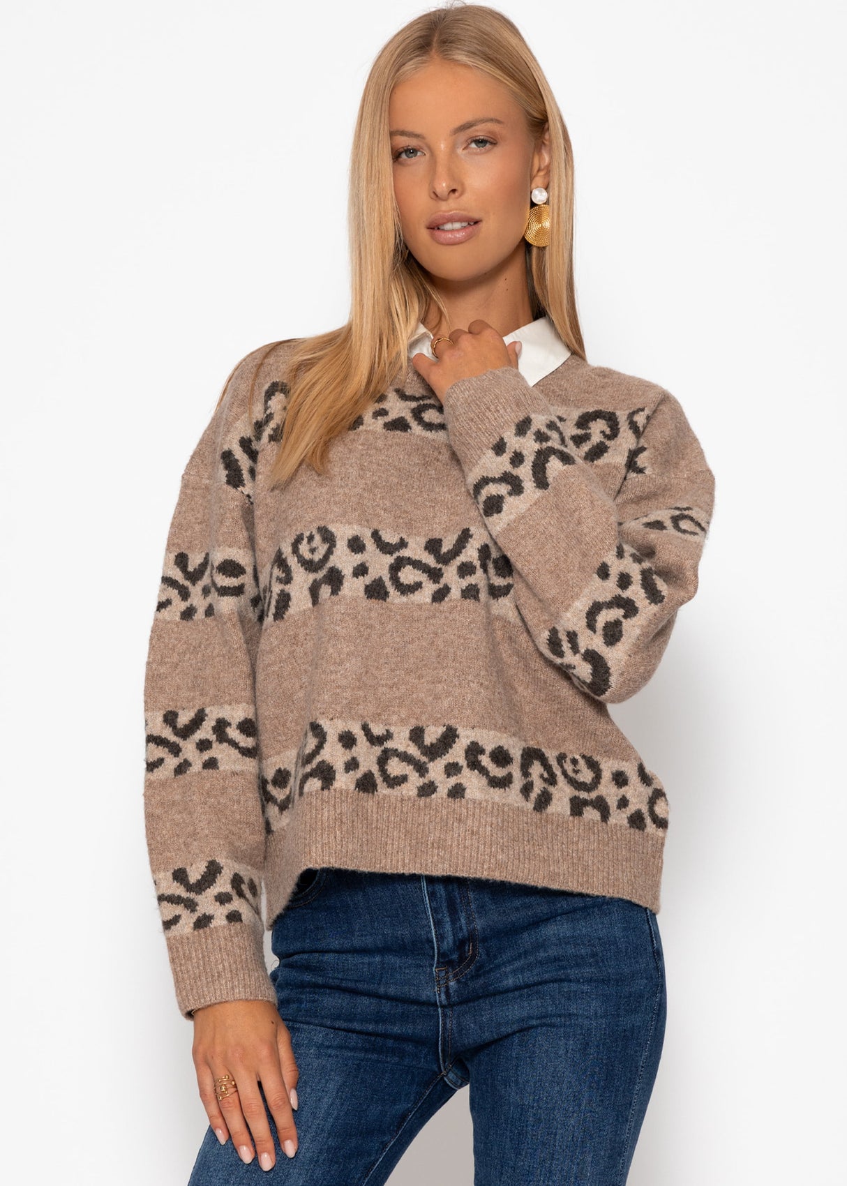 Sweater with Leo stripes-Taupe brown