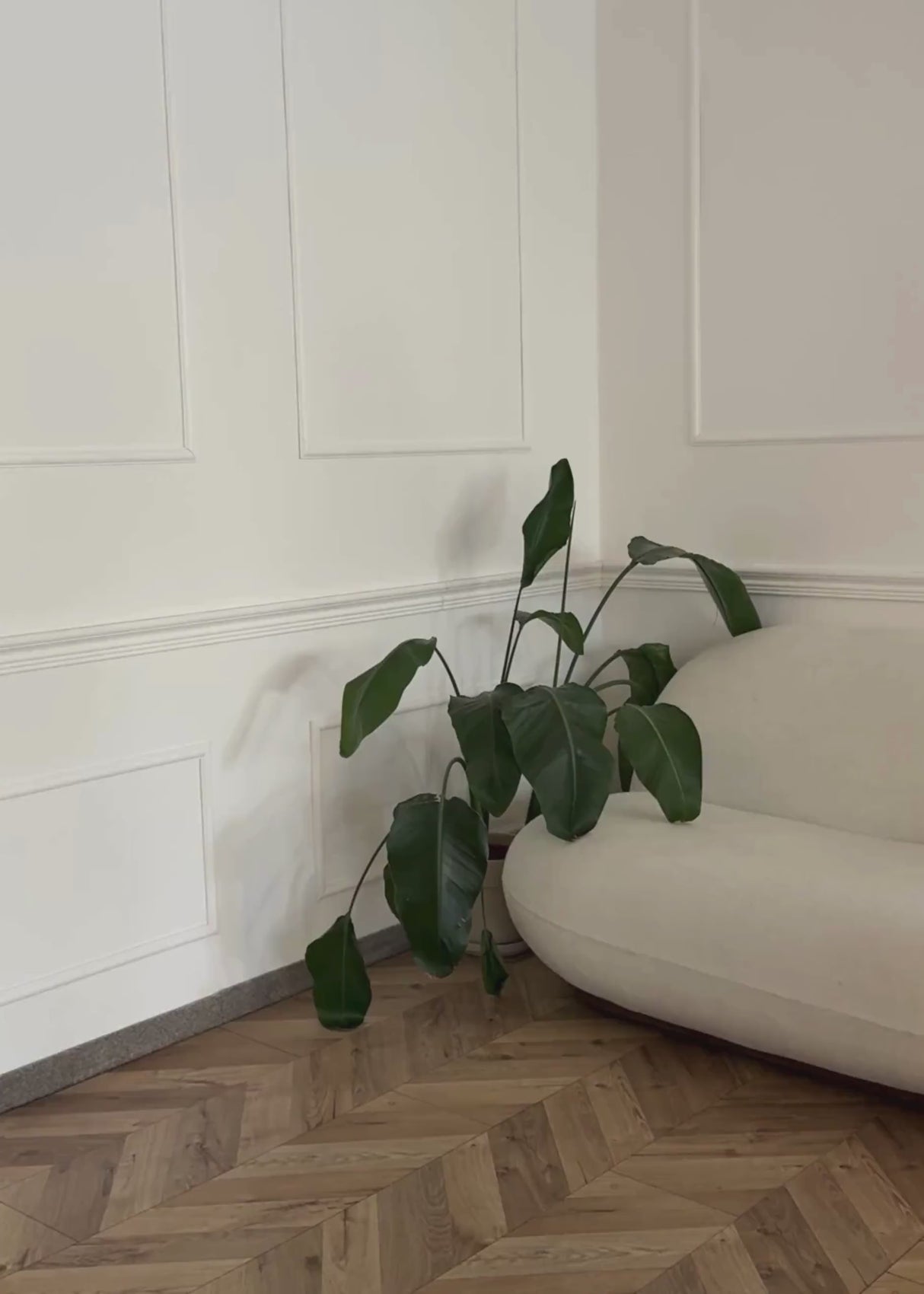 Cardigan with floral appliqué - pink