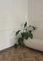 Cardigan with floral appliqué - pink