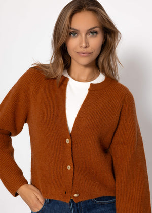 Cardigan mit V-Ausschnitt - braun