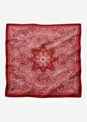 Paisley print scarf - burgundy