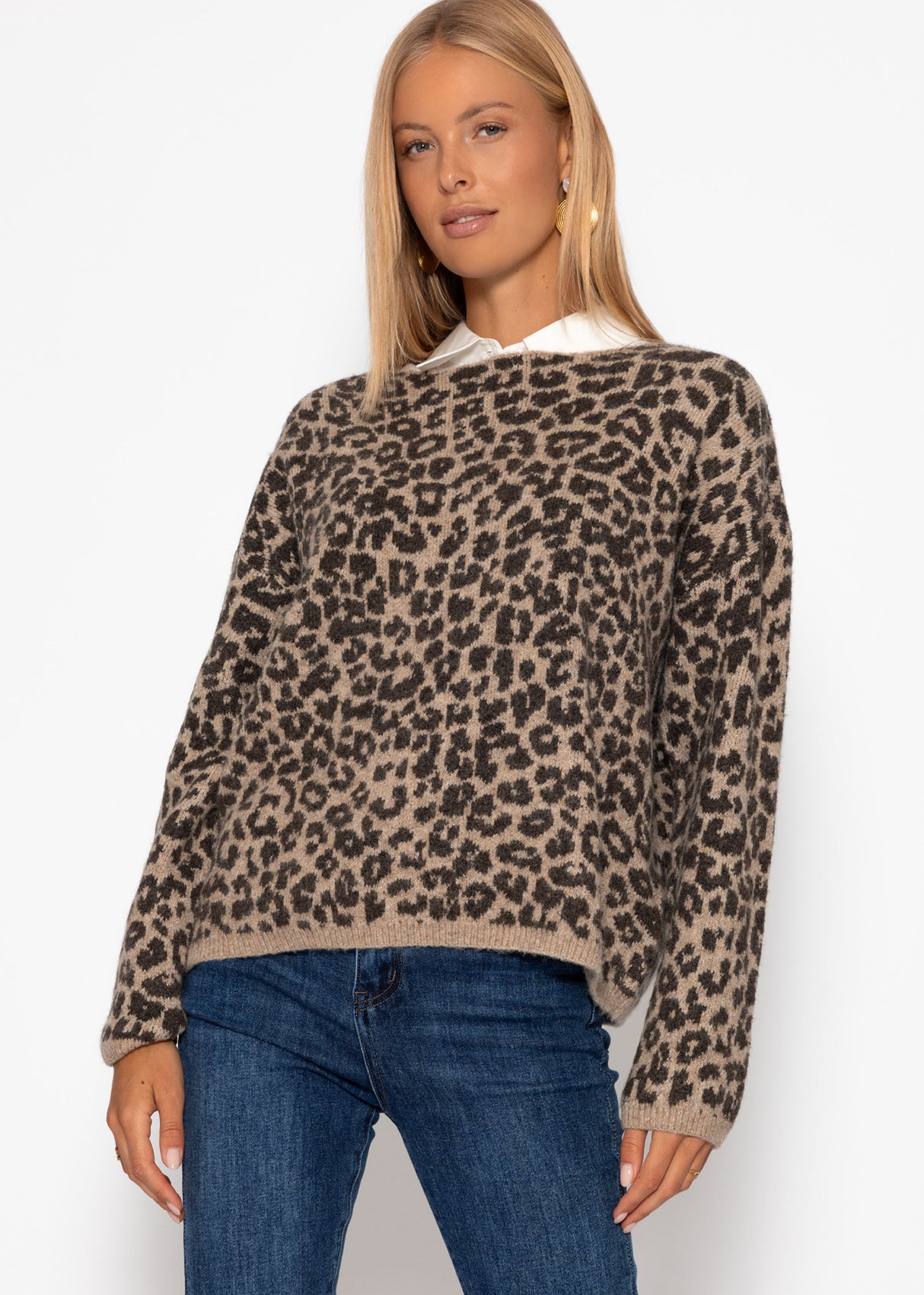 Sweater with Leo pattern-beige-brown