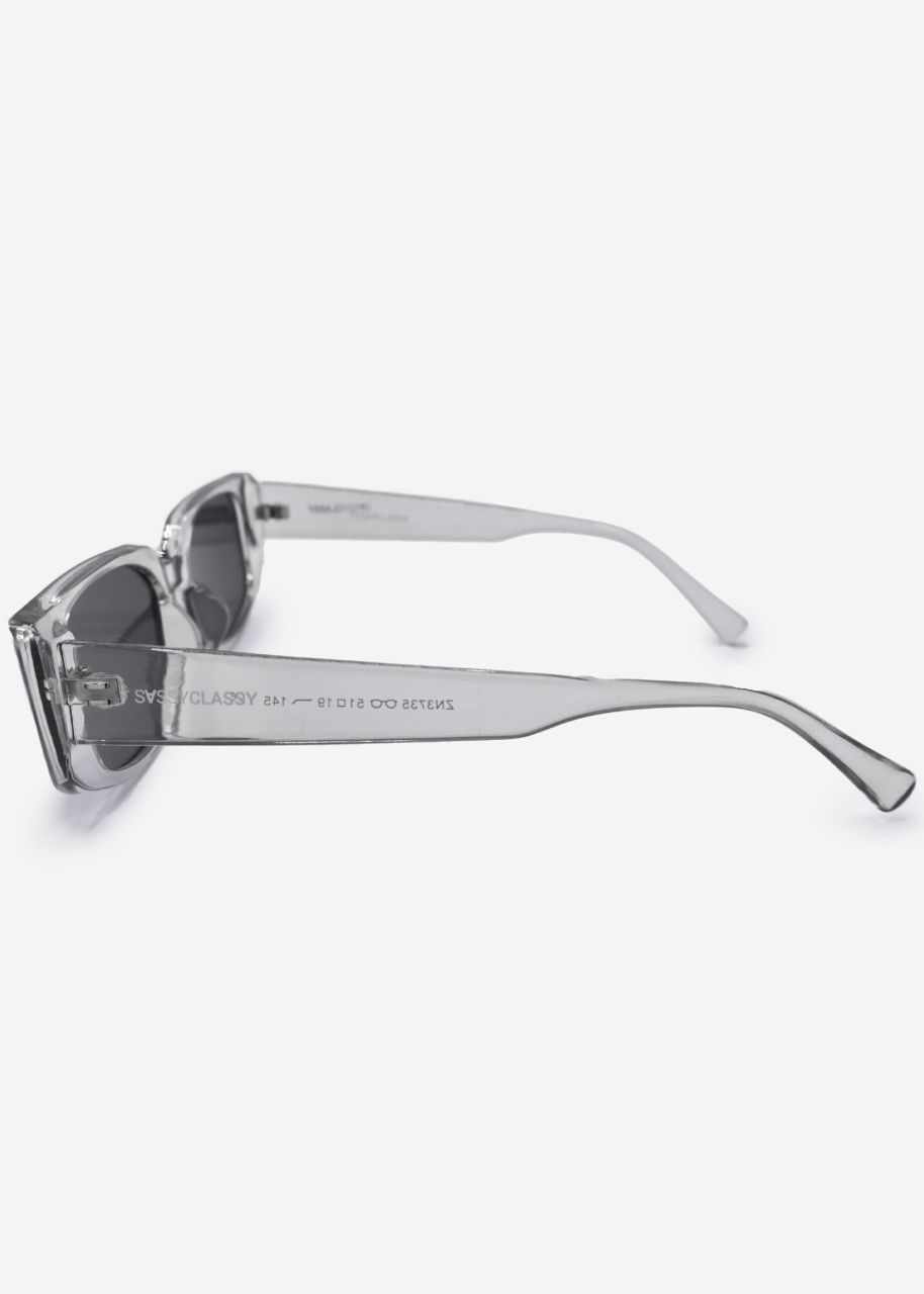 Transparent sunglasses - grey