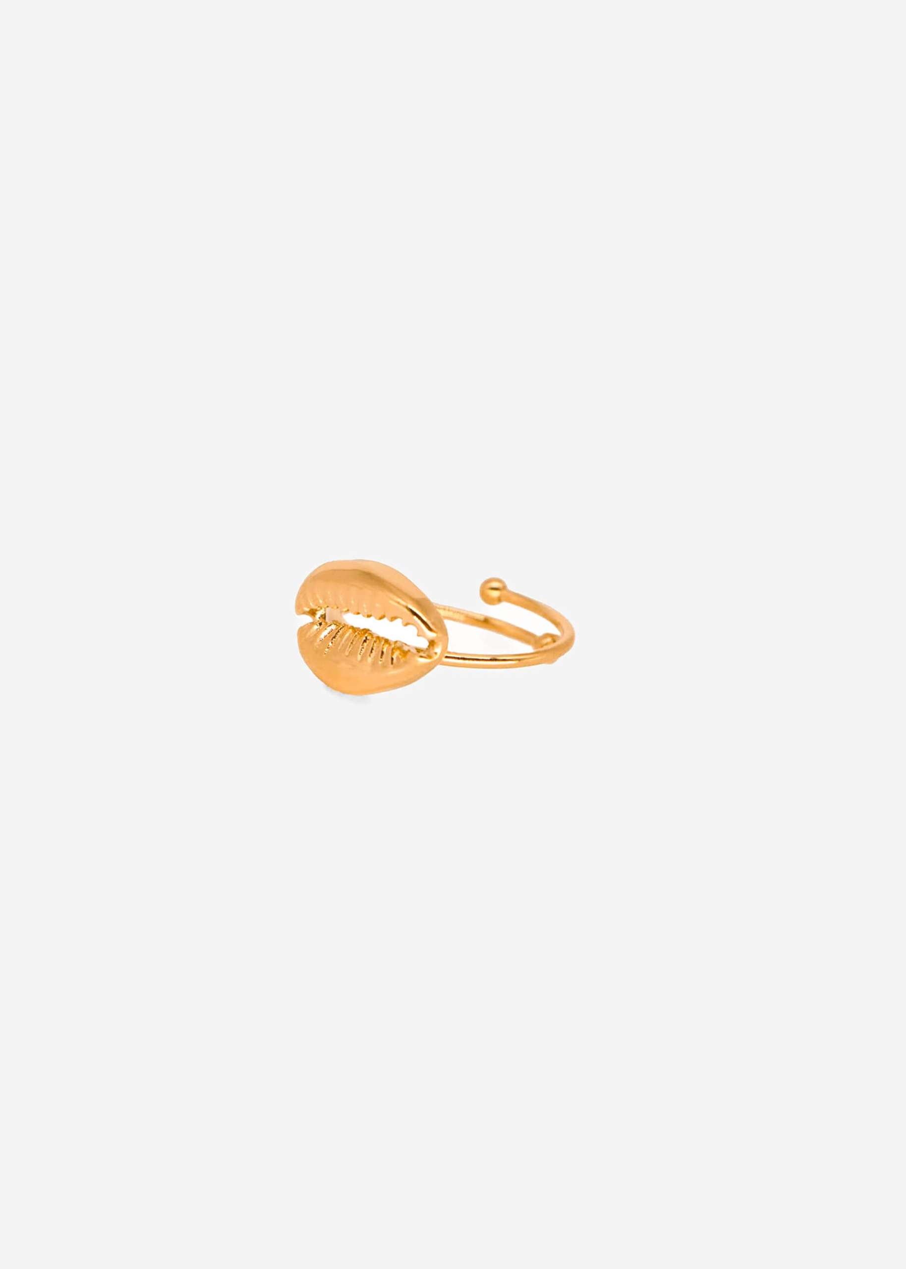 Ring with shell, gold